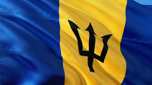 Enjoy the Cheapest Rate eSIM in Barbados with Simfinity