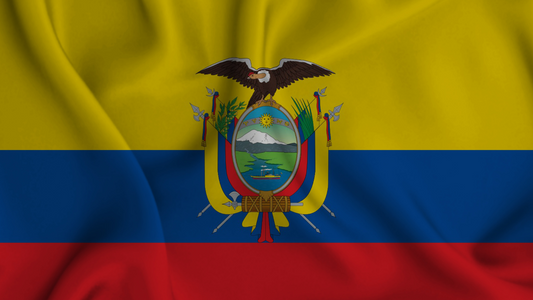 The Cheapest eSIM for Ecuador 🇪🇨 – Stay Connected with Simfinity