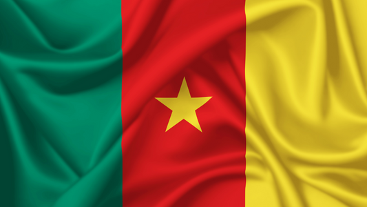 Experience Unmatched eSIM Savings in Cameroon with Simfinity