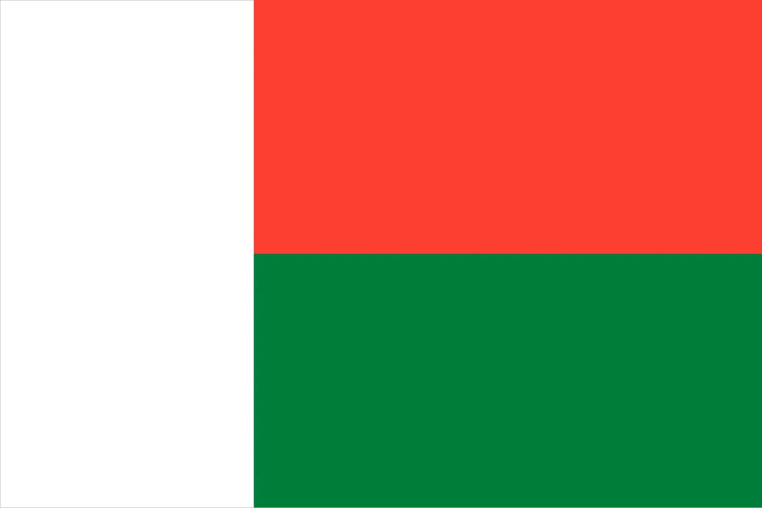 Affordable eSIMs for Madagascar – Stay Connected Anywhere