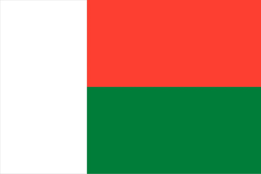 Affordable eSIMs for Madagascar – Stay Connected Anywhere