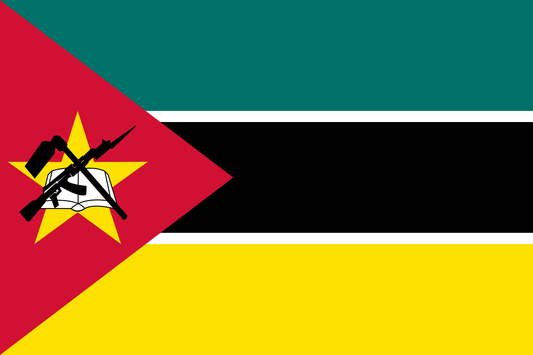 Affordable eSIMs for Mozambique – Stay Connected with Ease