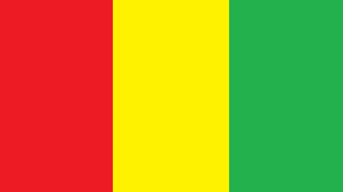 Affordable eSIM for Guinea – Stay Connected on Your Journey with Simfinity